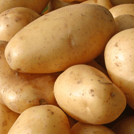 VTA start aardappelnotering alleen voor export