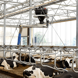Compacte stal met open karakter
