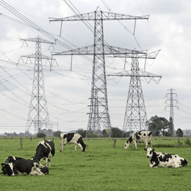 Rechtszaak over natuurstroom van Nuon