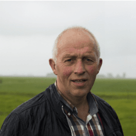 Friese boeren hard getroffen door muizenplaag