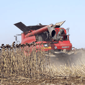 Bulgarije belastingparadijs voor akkerbouw