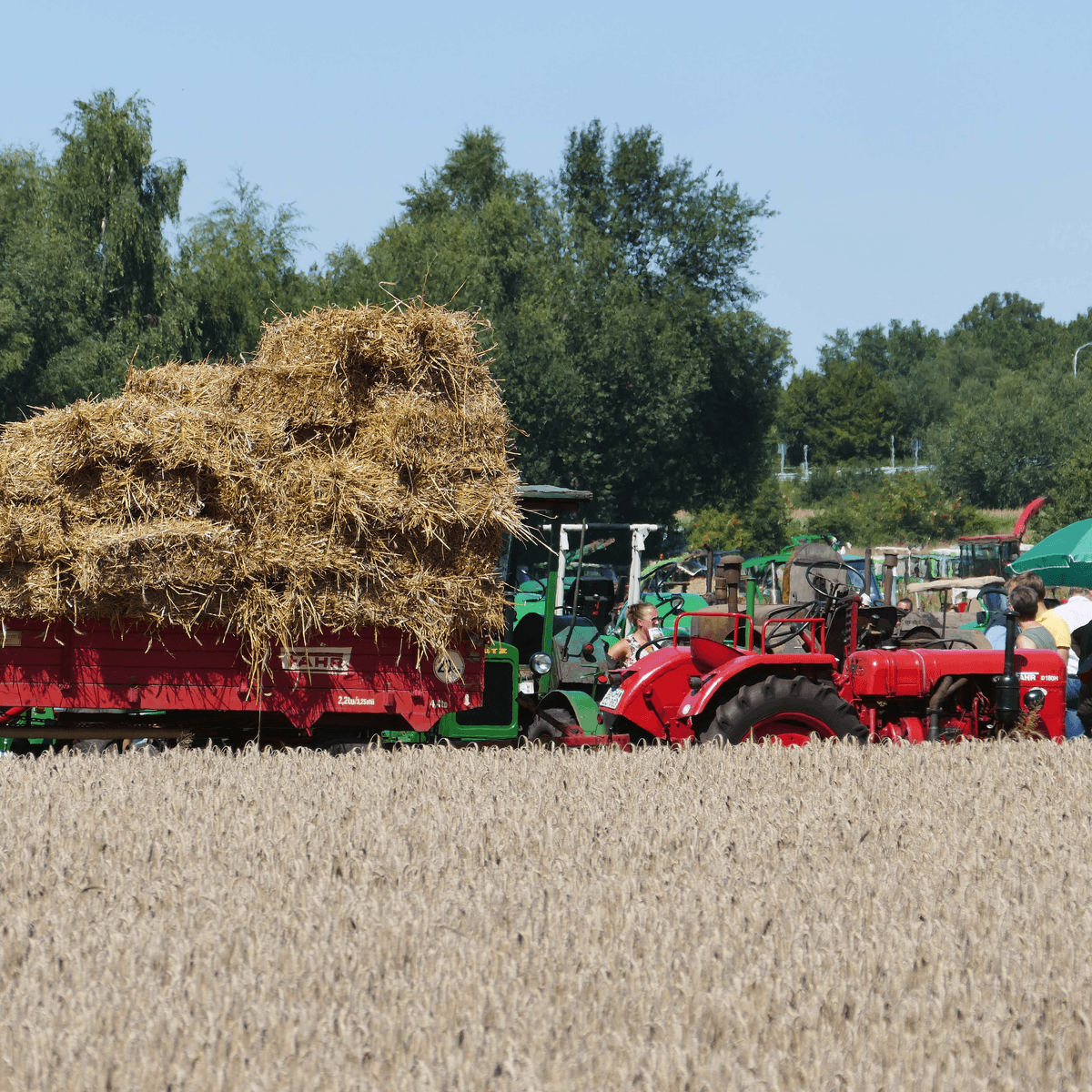 Nordhorn (2): Fahr blinkt uit met werktuigen
