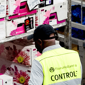 Rusland houdt Nederlandse bloemen tegen