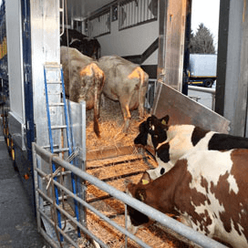 Kamer wil elk veetransport registreren