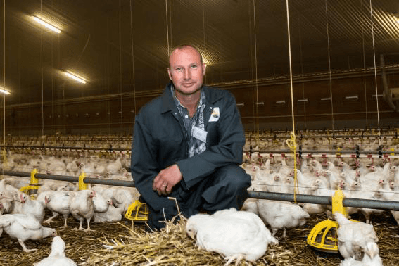 Positieve ervaring met ‘Hollandse Kip’