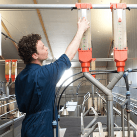 Tips voor een gezonde kraamtijd
