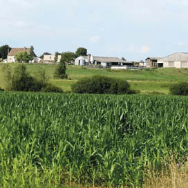 Frans bedrijf met moderne stal