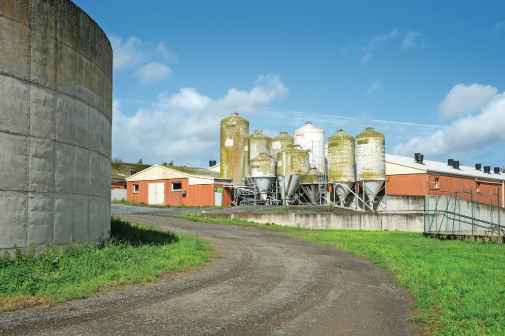 De vleesvarkens liggen verdeeld over drie stallen. De nieuwe stal is van 2023. Er is een stal met 1.330 plaatsen die afgelopen jaar is verbouwd en een stal met 1.700 plaatsen op brijvoer. Foto's: Twan Wiermans