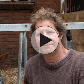 Biologisch-dynamisch boeren in Friesland