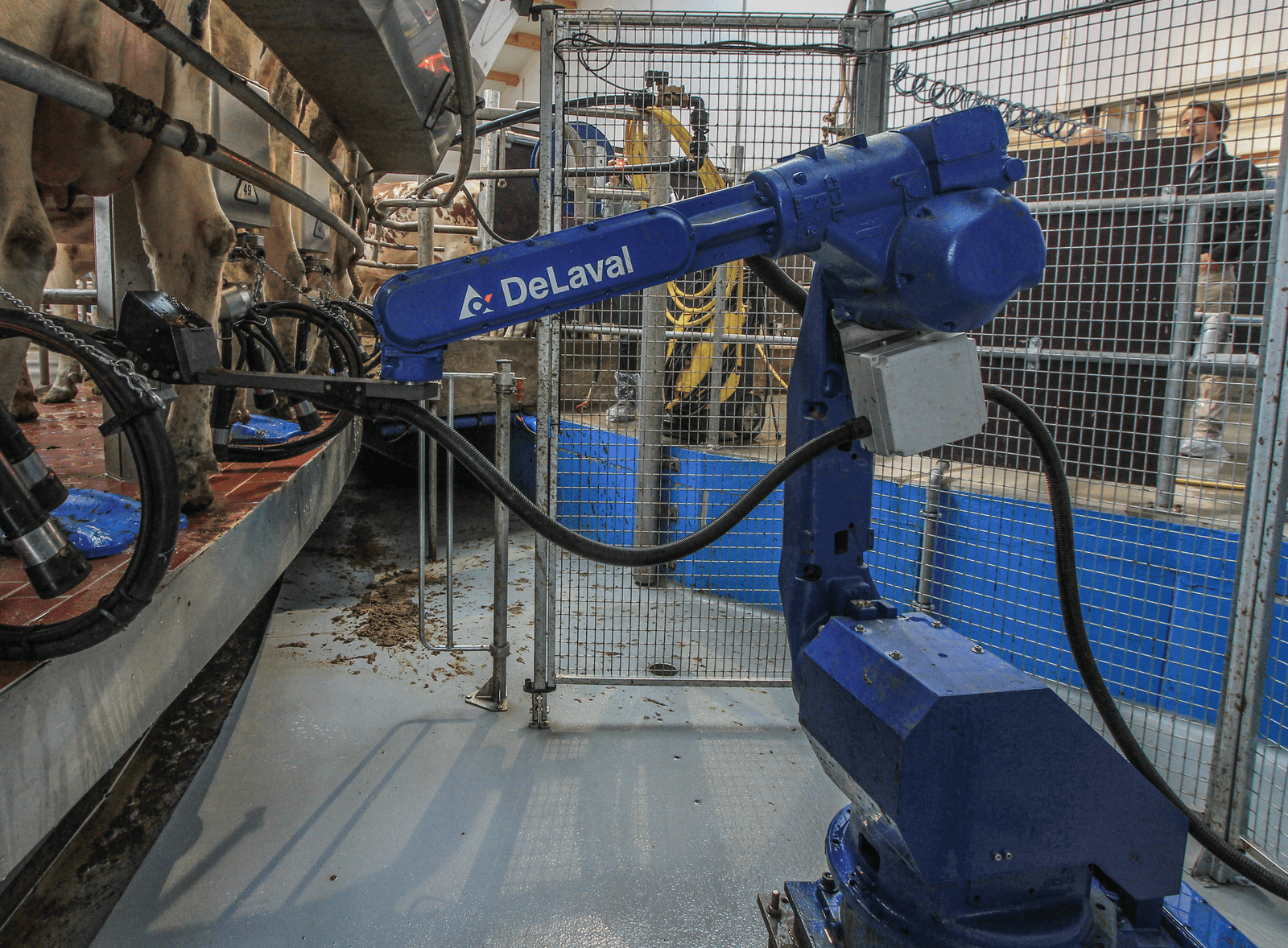 <em>Foto: Matthijs Verhagen</em>