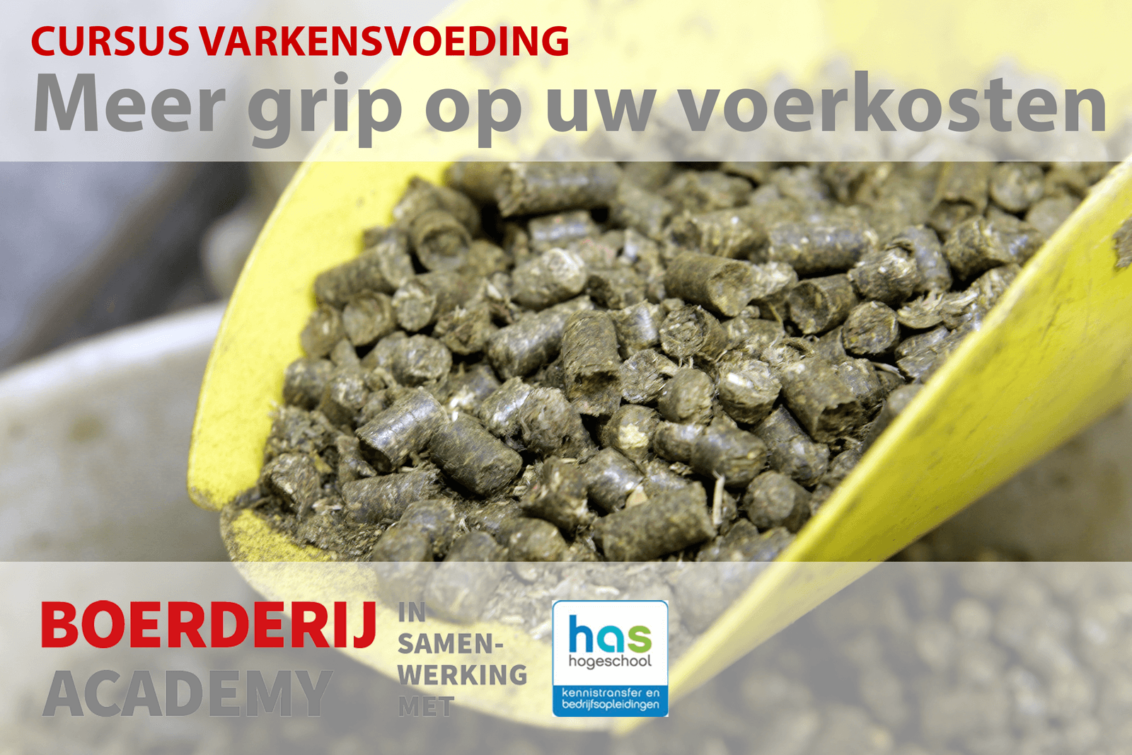 Cursus Varkensvoeding