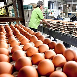 PPE niet blij met hoge factuur NVWA