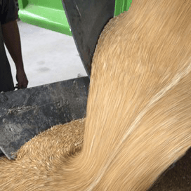 CZAV betaalt €180 per ton maaltarwe