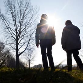SP Brabant durft geen nee te zeggen tegen natuurakkoord