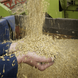 Consument waardeert akkerbouw meest