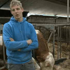 Stieren blijven onberekenbaar