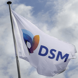 Fors minder winst DSM