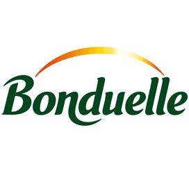 Vlees in groenten Bonduelle