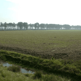 Situatie op het veld lijkt mooier dan het is