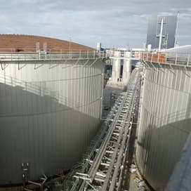 Meer productie dan vraag naar duurzame palmolie