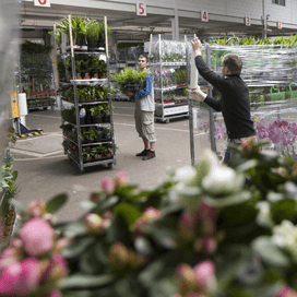 FloraHolland: hogere btw kost honderden miljoenen