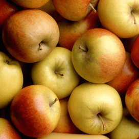 Meer fruitteler willen uitbreiden