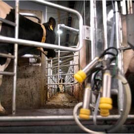 Kopzorgen om Lactalis en genomics (3)