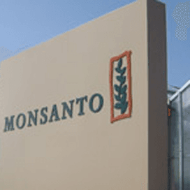 Monsanto wil zaadbedrijf Syngenta verkopen