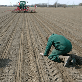 IRS: wacht met bieten zaaien