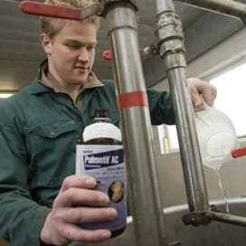 Lakse dierenartsen remmen antibioticacijfers