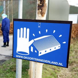 Relatie veedichtheid en zoönose het sterkst voor Q-koorts