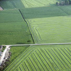 Waarde landbouwgrond stabiel