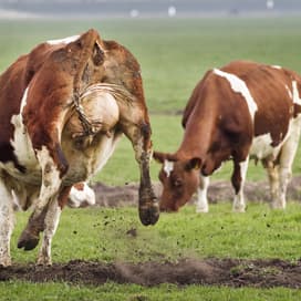 Natuurhoeve presenteert Duurzame Weidezuivel