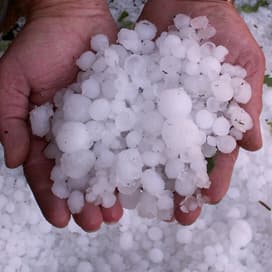 Hagel treft biet en ui