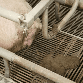 ‘POR-regeling voor grotere bedrijven’