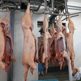 EU exporteert fors minder varkensvlees