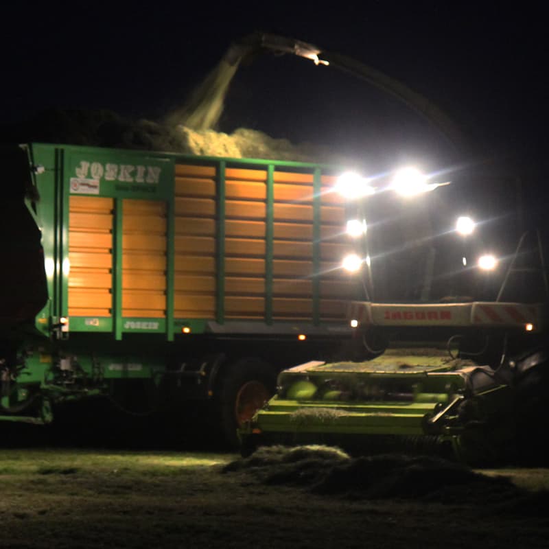 Massaal dag en nacht inkuilen