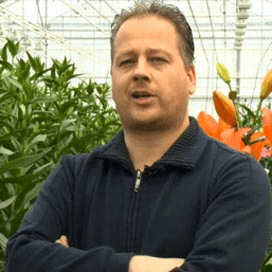 Nederland toonaangevend in lelieteelt