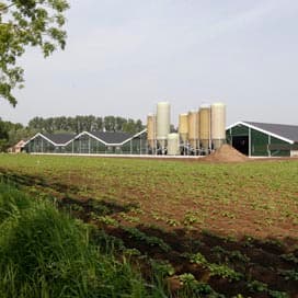 Met vierde stal naar 115.000 kuikens