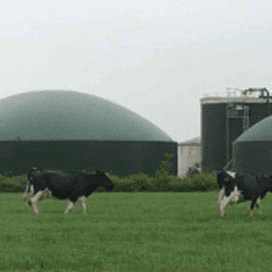 Groen gas voor 900 huishoudens