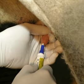 Antibioticaverkoop fors gedaald