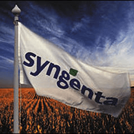 Syngenta vreest wisselkoerseffecten