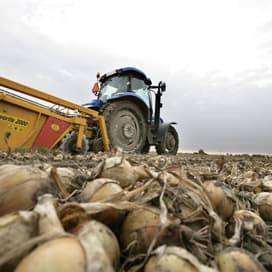 TOP Onions vecht miljoenenboete NMA aan