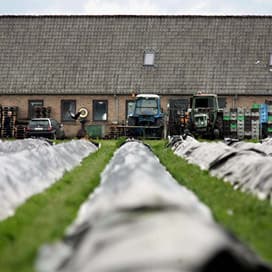 Aspergeteelster veroordeeld tot 3 jaar cel