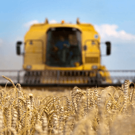 Franse boereninkomens 22 procent lager