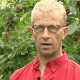 Wijnboer op zware Groninger zeeklei
