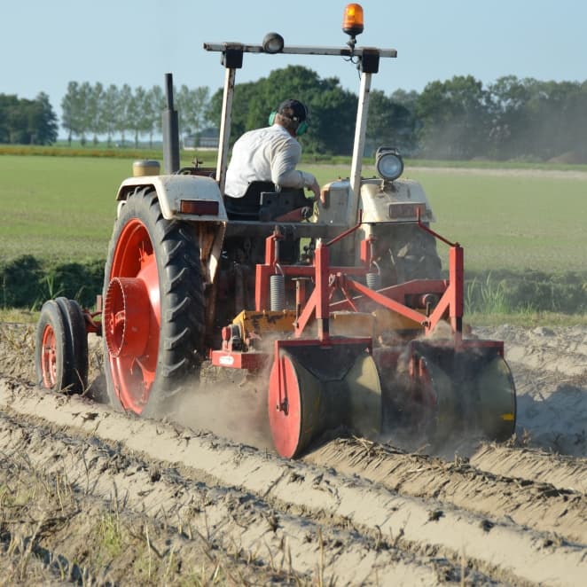 Onkruidvrij telen van aardappels