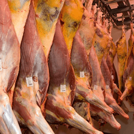 Europese ministers bijeen over paardenvlees