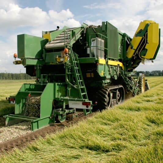 Kop eraf van oogst eerstejaars plantuien
