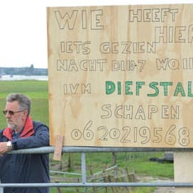 Mogelijk spoor naar daders schapendiefstallen
